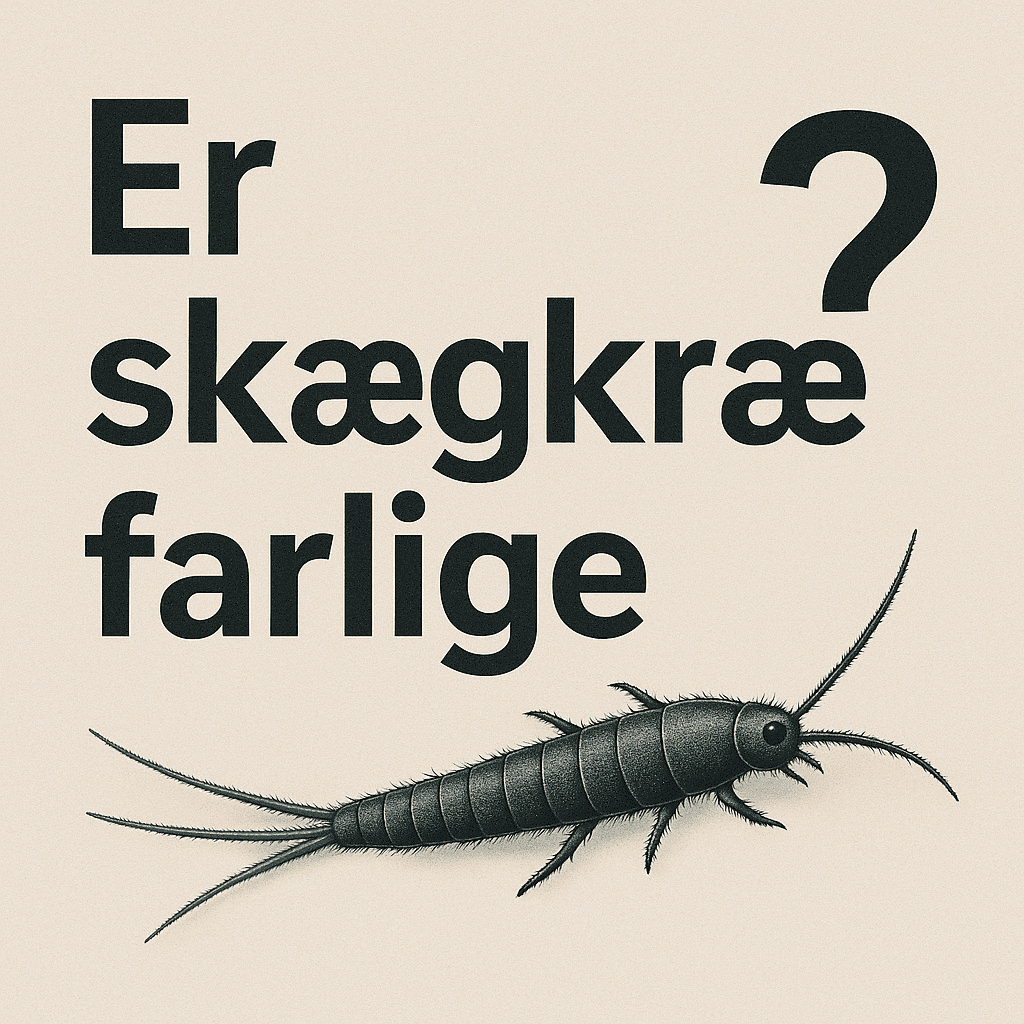 Illustration til side med spørgsmål og svar: er skægkræ farlige?