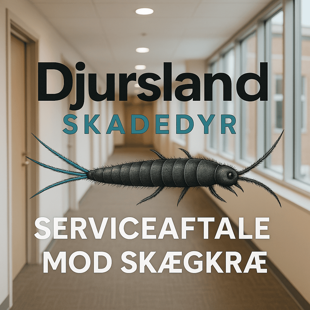 Illustration til side om serviceaftale mod skægkræ for erhverv og bolig