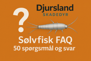 Oversigtsgrafik med ofte stillede spørgsmål og svar om sølvfisk i hjemmet.